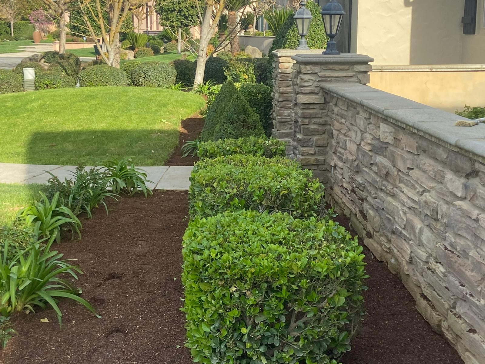 Cypress Creek Landscape Inc Image